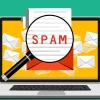 Spamming Website Setup Service